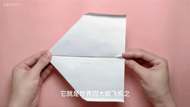 纸飞机没有中文吗截图