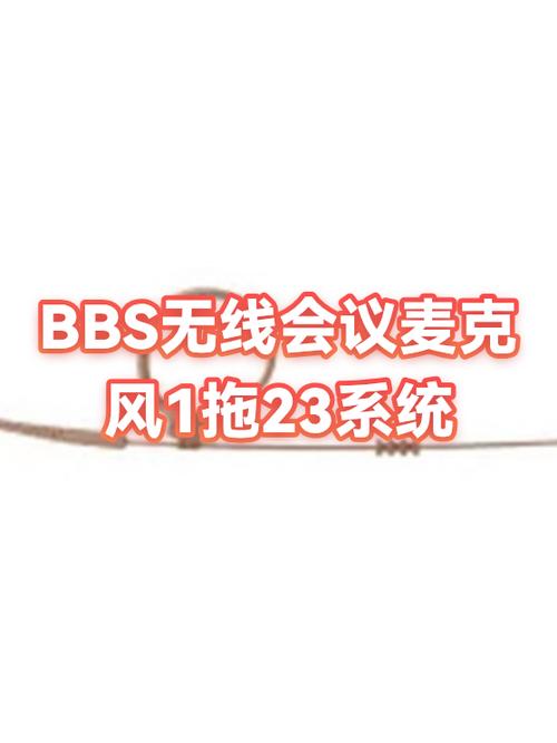 BBS话筒价格一览表