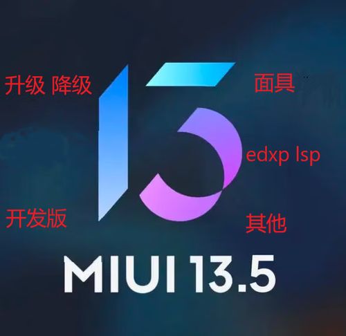 miui面具模块