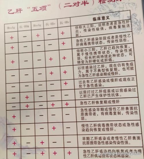 乙肝阴性是什么意思
