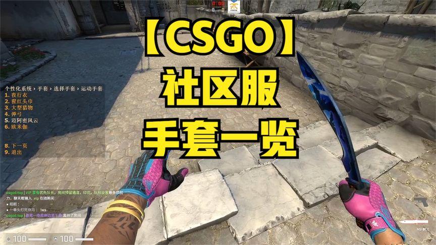 csgo哪个社区服可以试玩手套