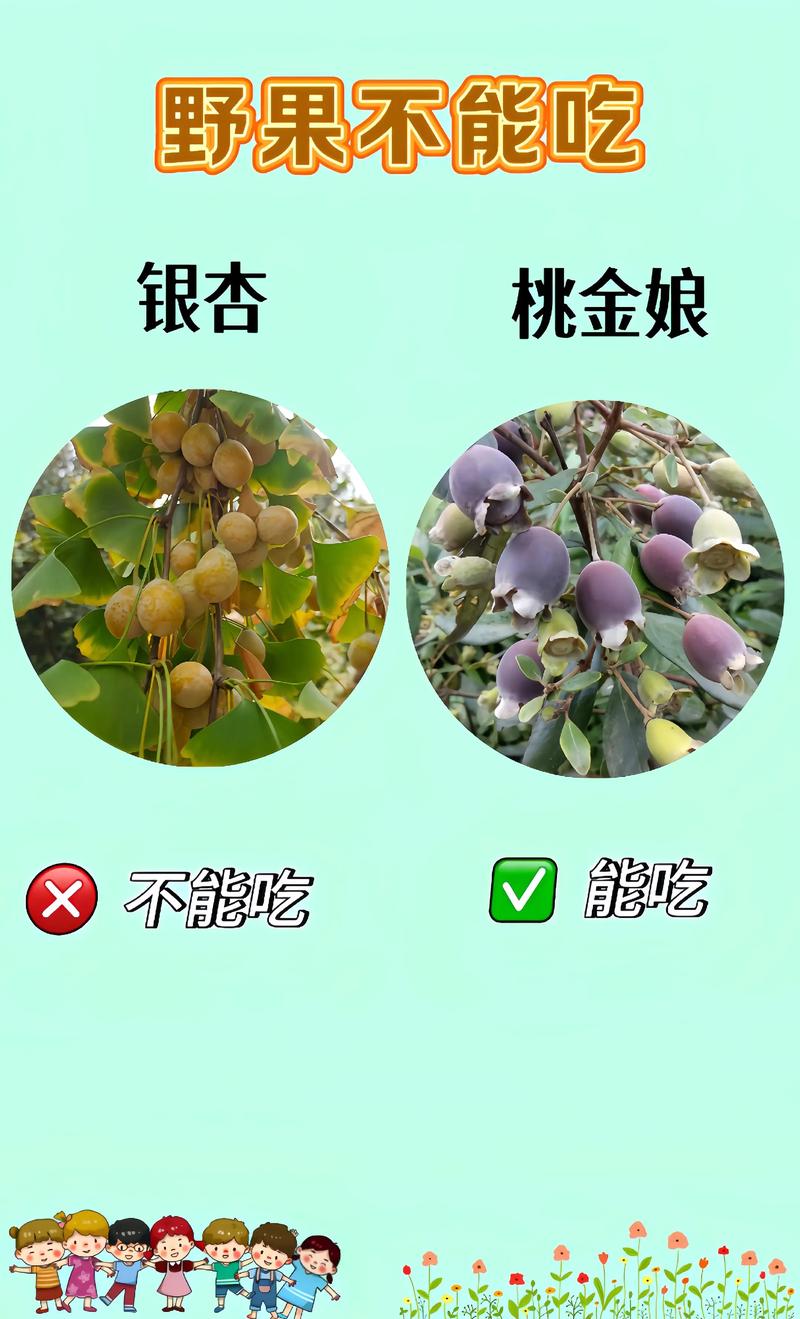 种福果不能合种图标