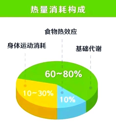 能量消耗图片