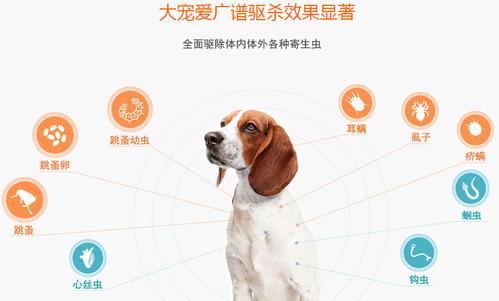 大宠爱内驱一次吃多少缩略图