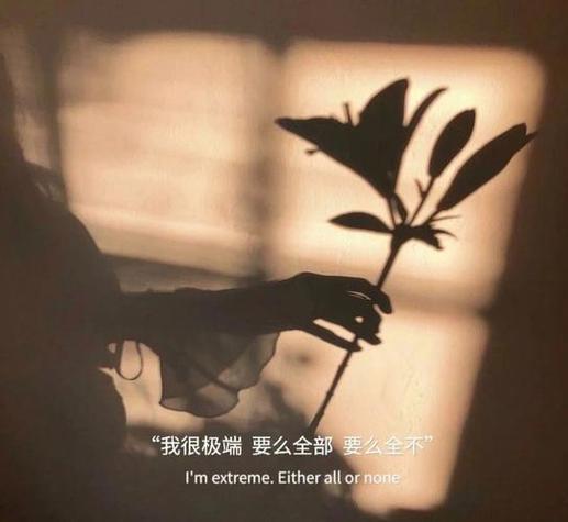 微信看不到对方朋友圈背景图