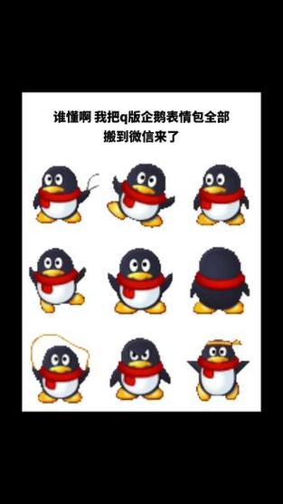 微信图案中小企鹅的含义