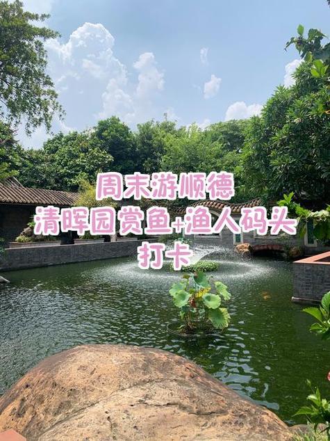 超级大鱼塘一天能做几单截图
