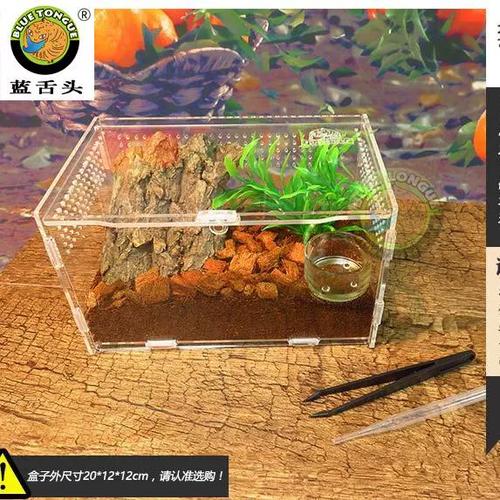 蜗牛宝盒最新版本