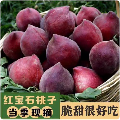 终极红宝石香甜气息