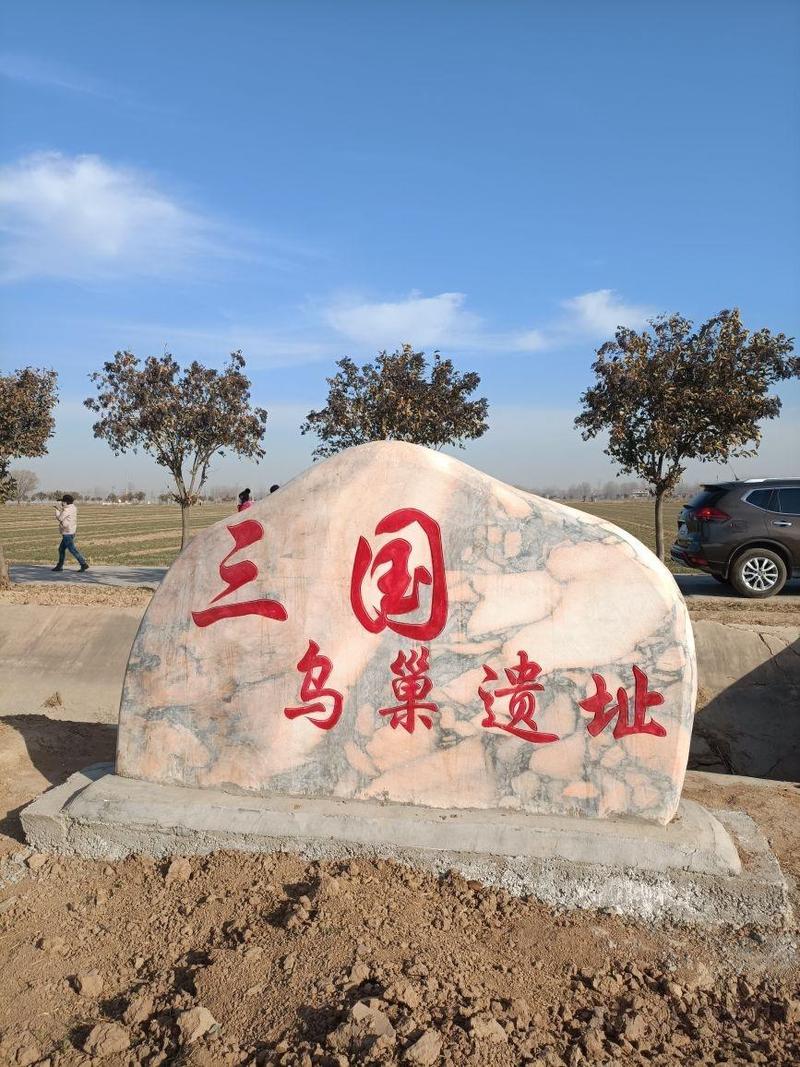 站点和乌巢区别在在哪