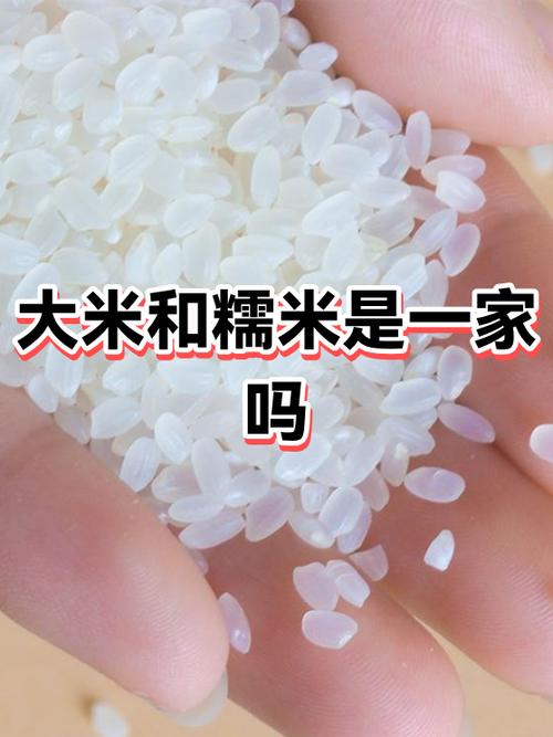 大米中掺杂糯米的情况