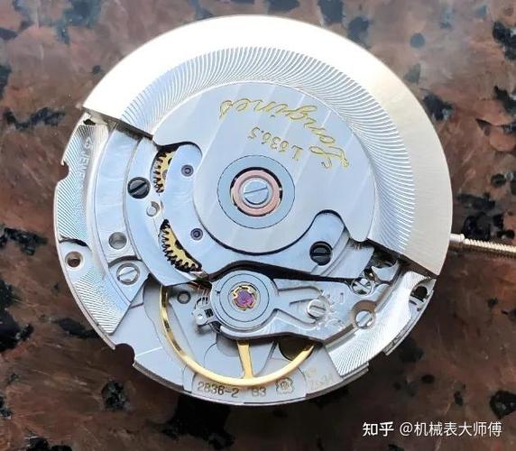 帝舵手表一般寿命几年游戏截图