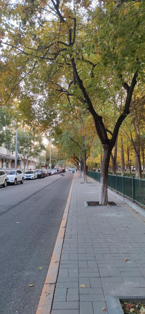 马路图片