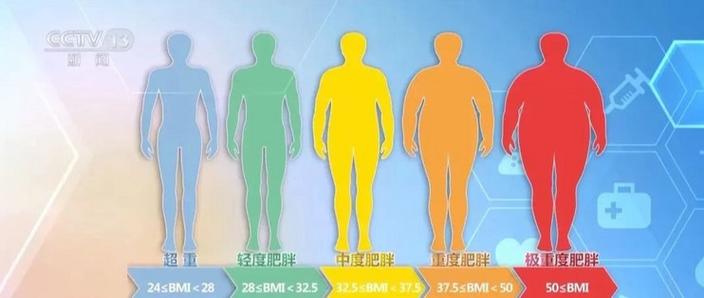 2025国家版减肥指南pdf