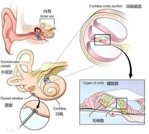 手机怎样连接音箱录音并播放