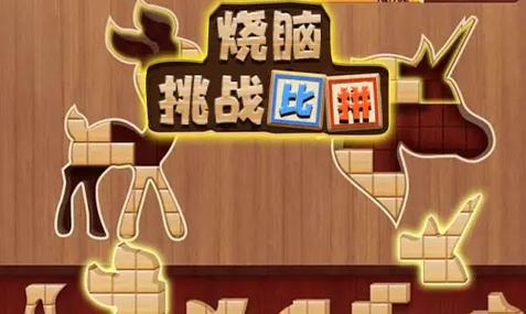 欢乐烧脑游戏