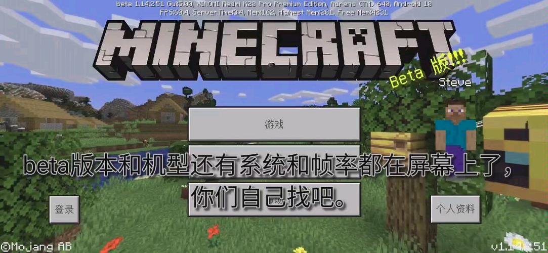我的世界1.14.2.51