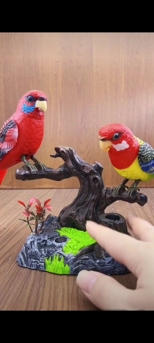 小鸟视频益智