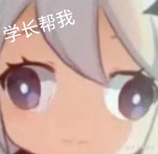 比自己高一届的同学怎么称呼