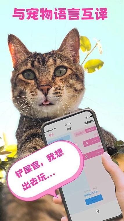 猫咪能听懂人说话吗?
