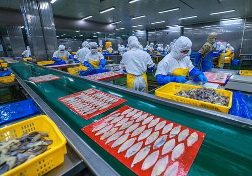 海鲜食品加工厂