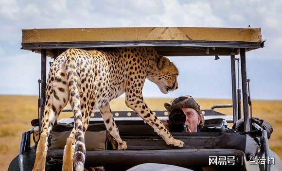 猎豹游戏-cheetahmobilegames的歌