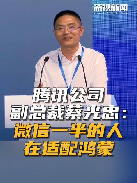 刷入鸿蒙系统的人