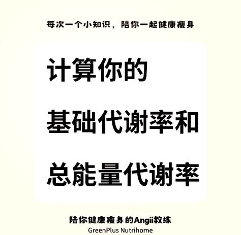 bmr年龄对照表