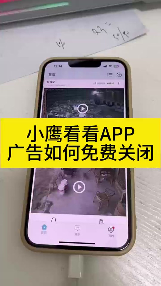 恢复小鹰看看