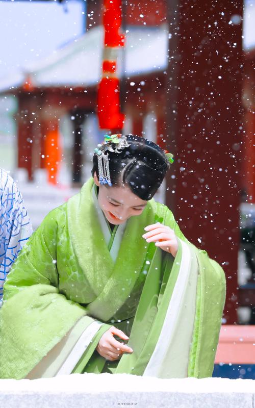 红楼攻略听风扫雪