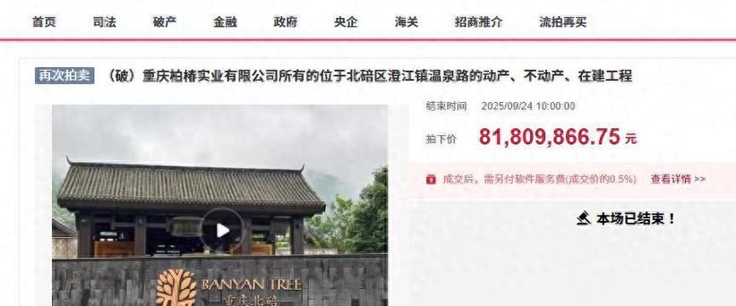 重庆拍卖公司十大排名游戏截图