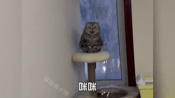 我跟你说我现在就这个表情缩略图
