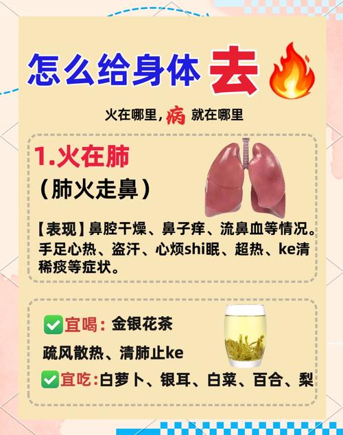 如何清肺热和肺火