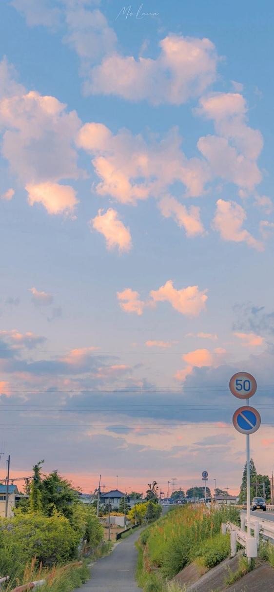 wallpaper有必要买吗缩略图
