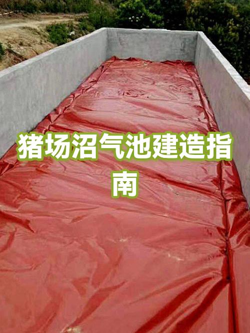 新手去猪场上班难吗