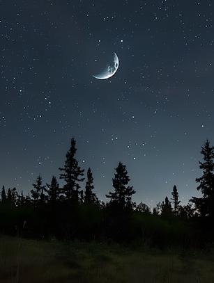 真实夜晚星空图片截图