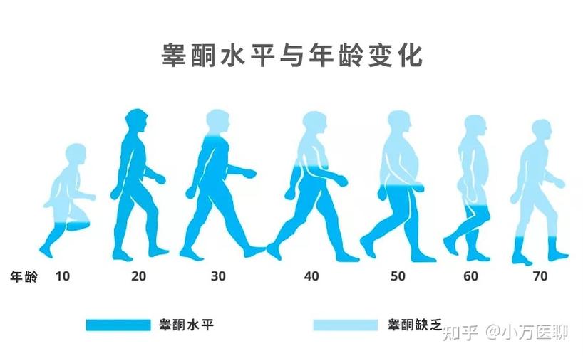 60岁睾酮对照表截图