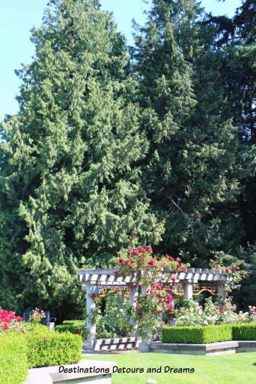 rose garden