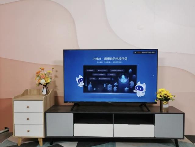 安心看摄像头app下载游戏截图