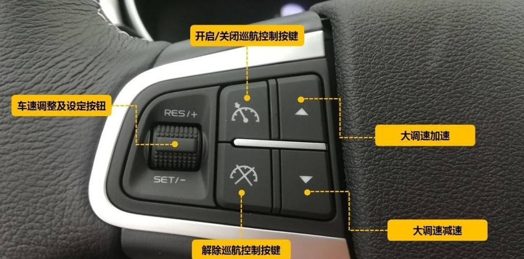 埃尔法定速巡航按钮