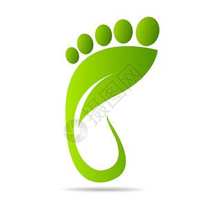 老年人健步走活动简报