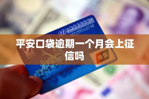 口袋钱包上征信吗