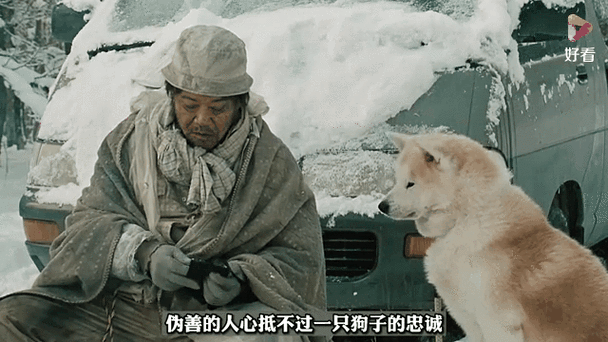 星守之犬免费观看