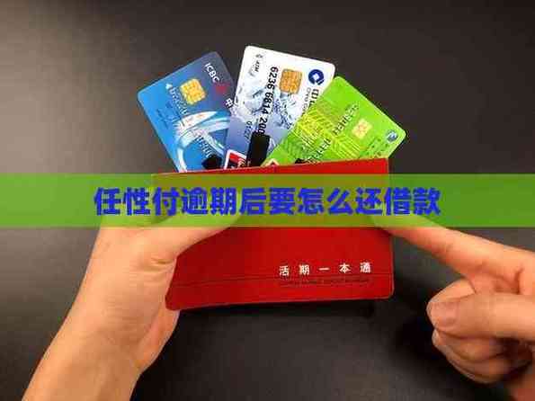 任性付还款后多久可以借款缩略图