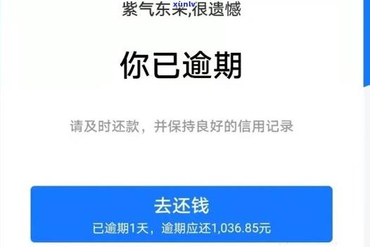 支付宝逾期闲鱼付款会被扣吗