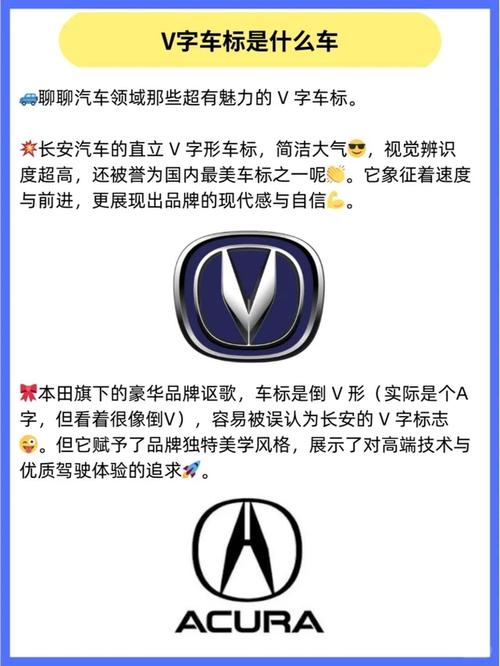 v标志的衣服品牌