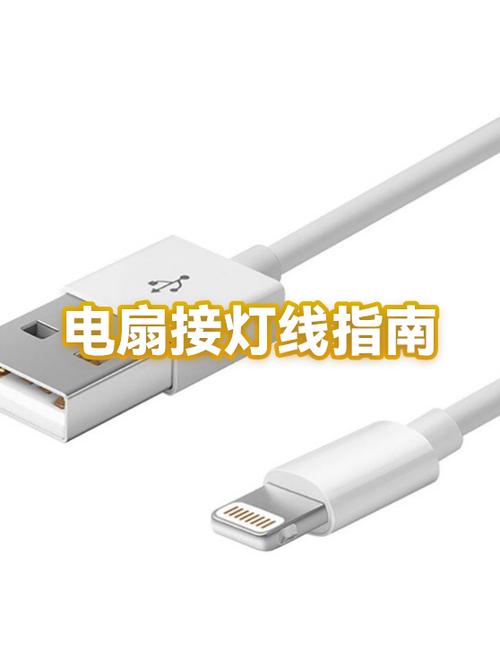 电扇灯灯不亮是什么原因