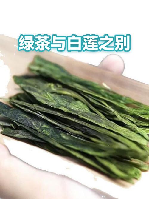 绿茶和白莲花的区别缩略图