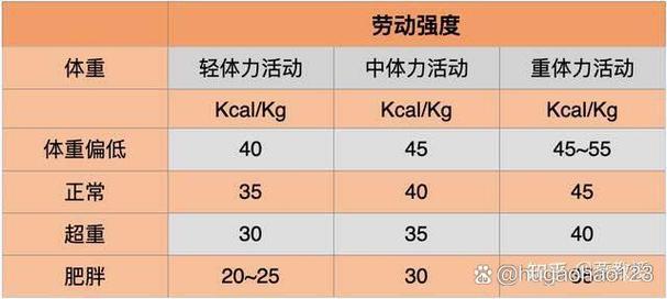 轻体力劳动者一天需要的能量
