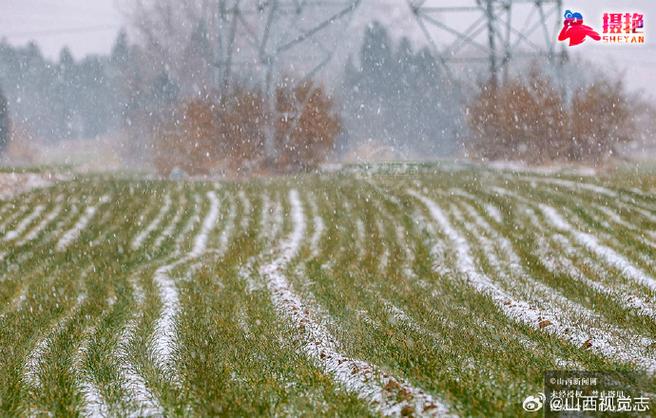 我的世界超平坦能下雪吗